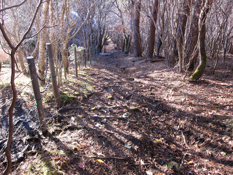 20191129hike (606)
